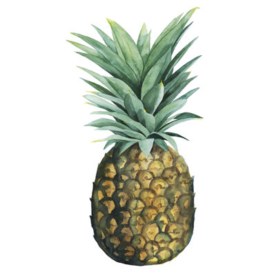 " Watercolor Pineapple II " by Grace Popp Painting Print