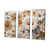 Toile tendue