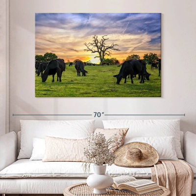 Brampt Grazing Aberdeen Angus