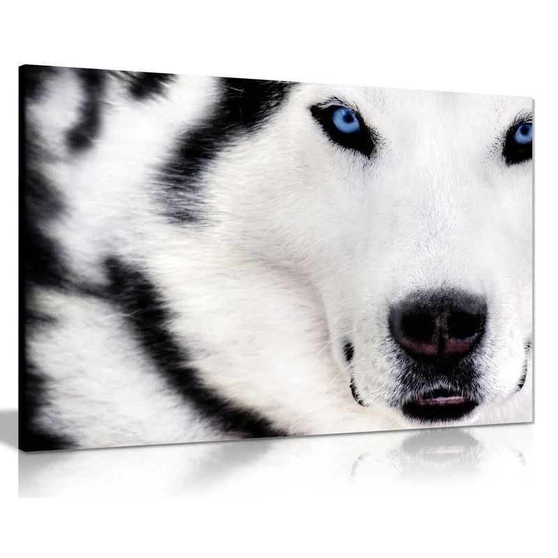 Wolf Animal - Wrapped Canvas Print, 20cm H x 31cm W