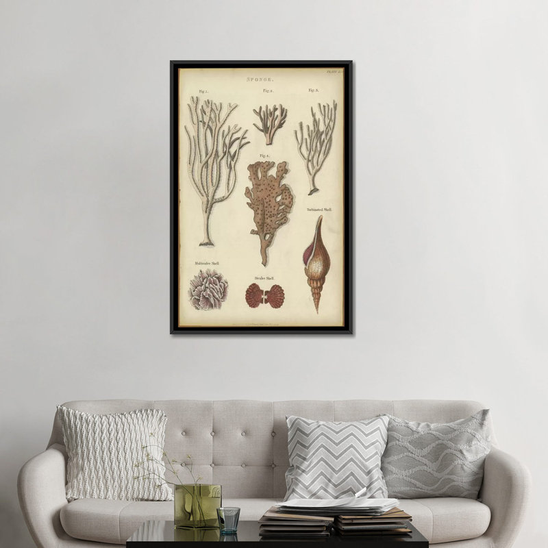 « éponge », impression sur toile, H 26 po x l 18 po x P 1,5 po, Toile avec cadre noir, Pas de tapis