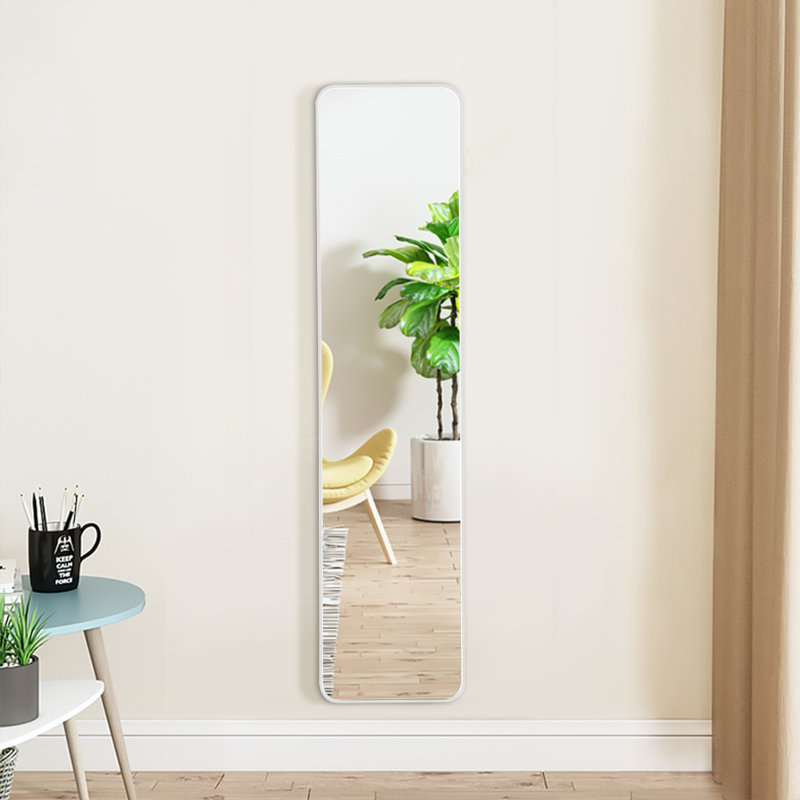 Randeisha Metal Rectangle Mirror