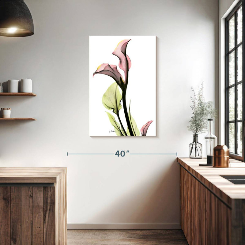 Harnek délicat, lis Calla, H 36 po x l 24 po