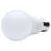 60 Watt Equivalent A19 E26/Medium (Standard) LED Bulb