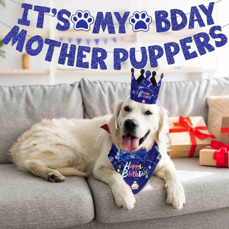 Ensemble de chapeaux Dog Birthday Bandana