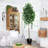 Velasquez 108 " H Faux Ficus Tree in Plastic Pot