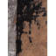 Razaan Abstract Hand Loom Indoor / Outdoor Area Rug-1636403742