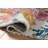 Loloi Tilly Ivory / Multi Area Rug-832784877