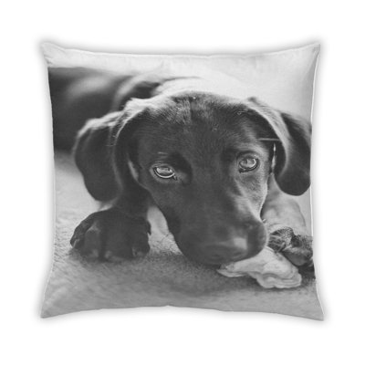Dogs Dogs 43 Throw Pillow