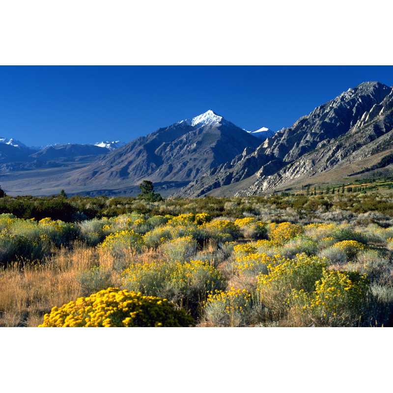 Eastern Sierras by Skyak, 32" H x 48" W