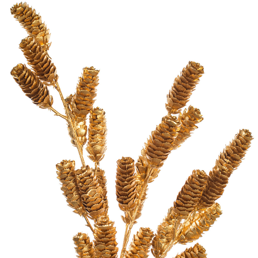 Pinecone Floral Stems, Gold