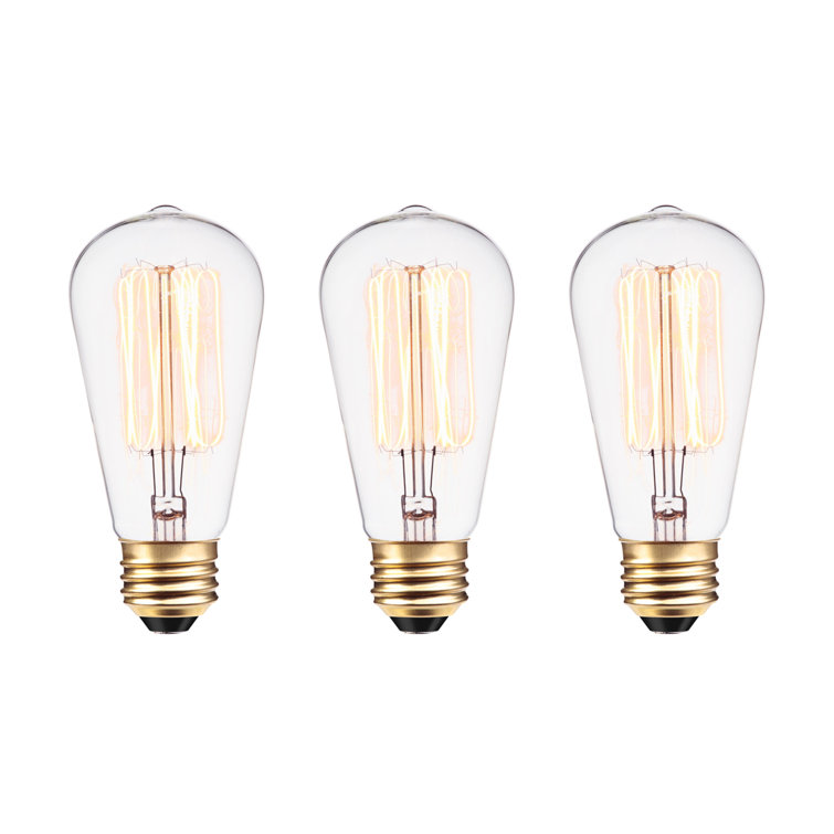Lyle 60 Watt ST64 E26/Medium (Standard) Dimmable Incandescent Bulb