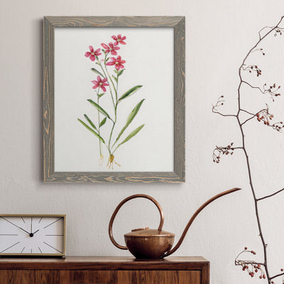 " Delicate Pink II " Painting Print