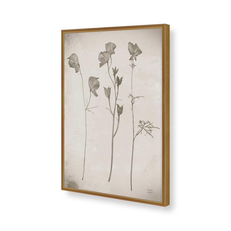 «Wildflower Journal Vintage III» par Nathan Larson, reproduction d'art, H 18 po x l 12 po, Doré