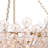 Charlotte Chandelier