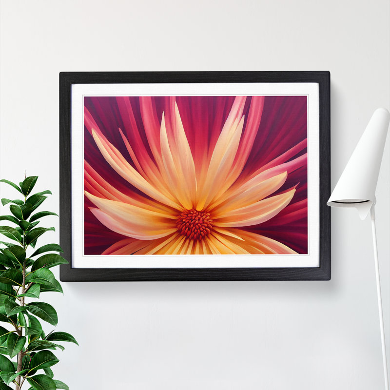 Desirable Flower - Single Picture Frame Print, Black, 46cm H x 64cm W x 2cm D