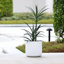 Pot de fleurs rond vert côtelé de 14,8 po Greenebaum-1286466874-1286466873