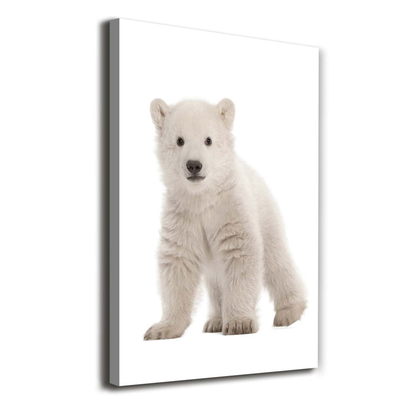 A Polar Bear - Wrapped Canvas Print