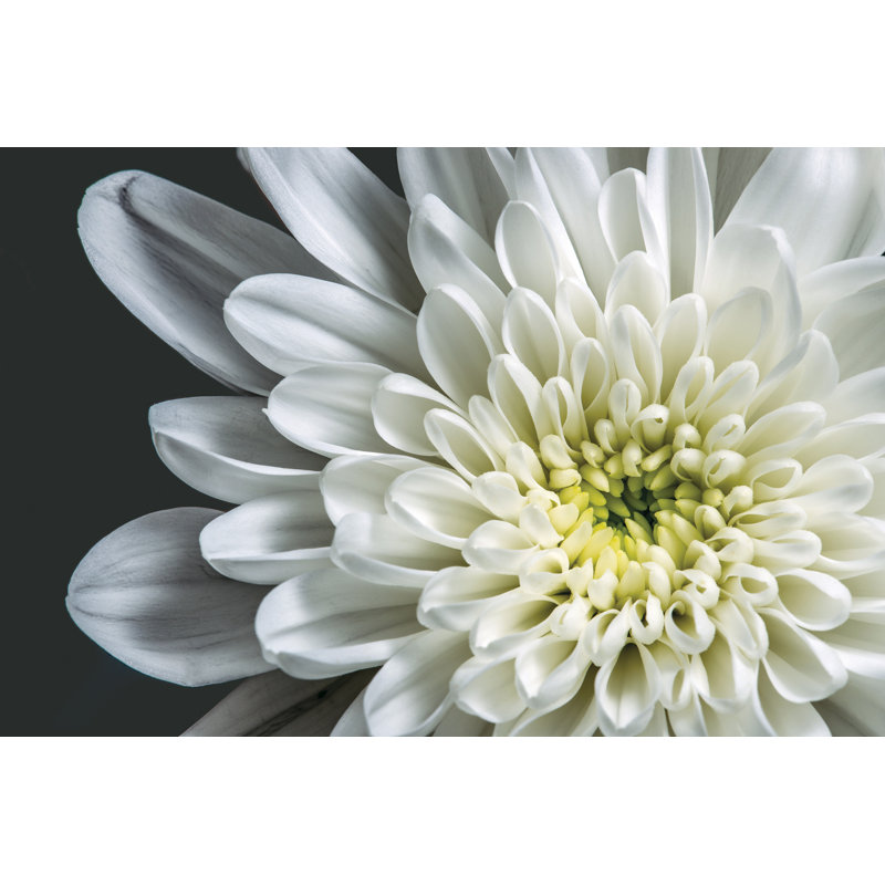 Murale 8 panneaux l 8 pi x l 144 po dahlia McKenly