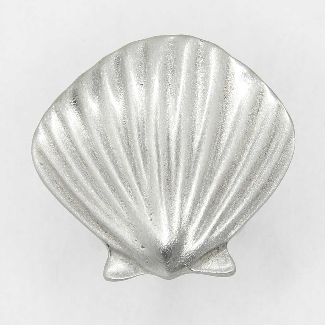 Seashell Knob Costello Coastal Knobs 