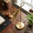 Metal Desk Lamp