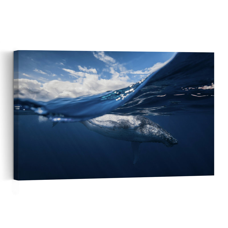 Humpback Whale Ocean View Peaceful Abstract Contemporary Whale Nature Ocean Wall Art Print 1 Piece Wrapped Canvas Wall Art