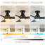 42" 3-Blade LED Standard Ceiling Fan with Remote Control and Light Kit for Living Room