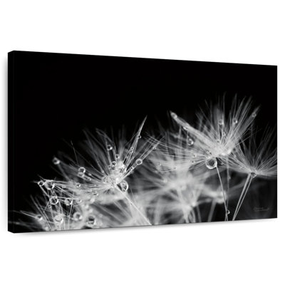 Harnek Dandelion Dewdrops