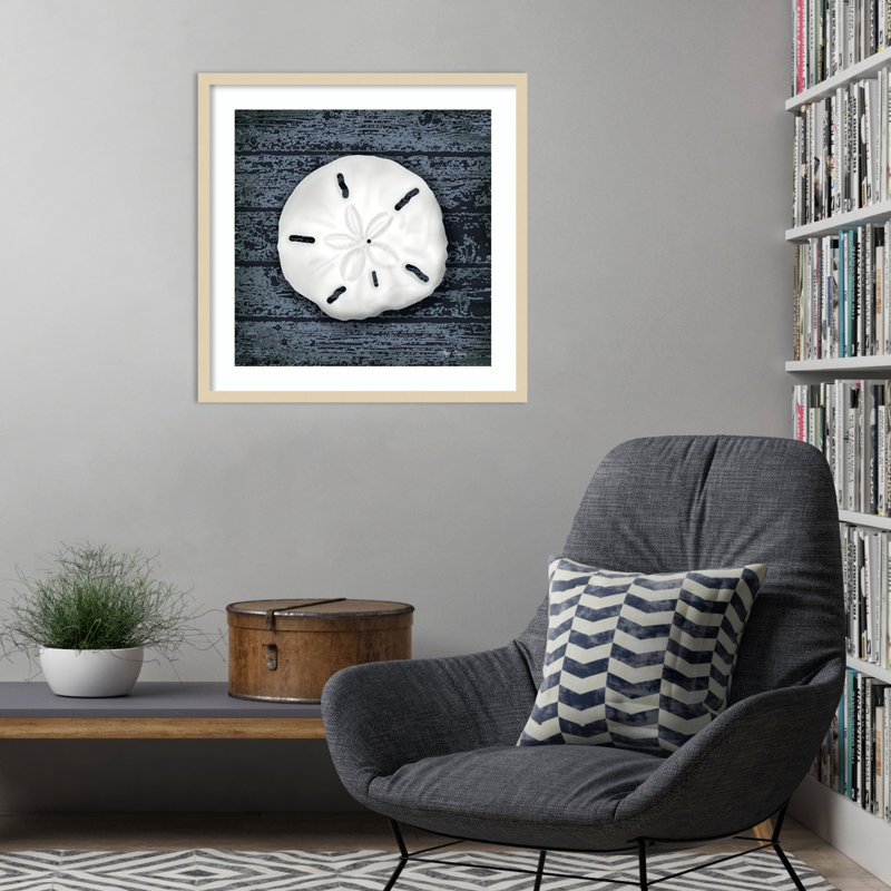 «Seashore Shells Navy II» par Marie Elaine Cusson, reproduction d'art encadrée sur bois, H 25 po x l 25 po