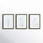 Retro Tennessee Botanical Prints by Adela - 3 Piece Single Picture Frame Photograph Set-793282264-793282240