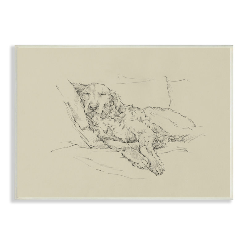 Croquis de chien monochromatique décontracté Fluffy Retriever, Toile tendue, H 15 po x l 10 po