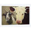 «Farm Pals I», impression sur toile-32500284-72143942