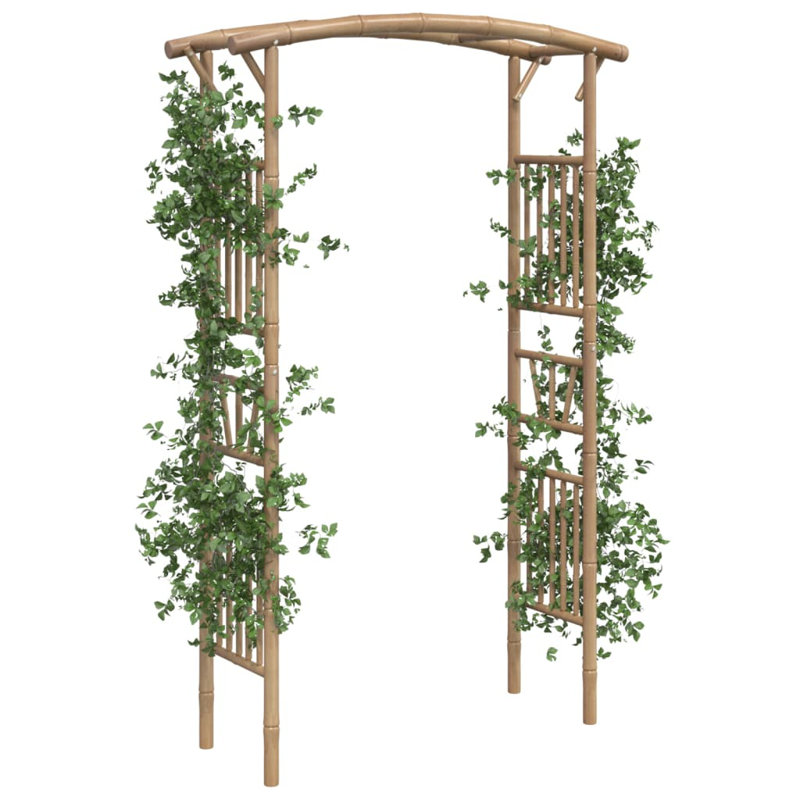 Alessja 118cm W x 40cm D Solid Wood Arbour in Brown