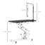 Table de toilettage hydraulique pour chien PawHut