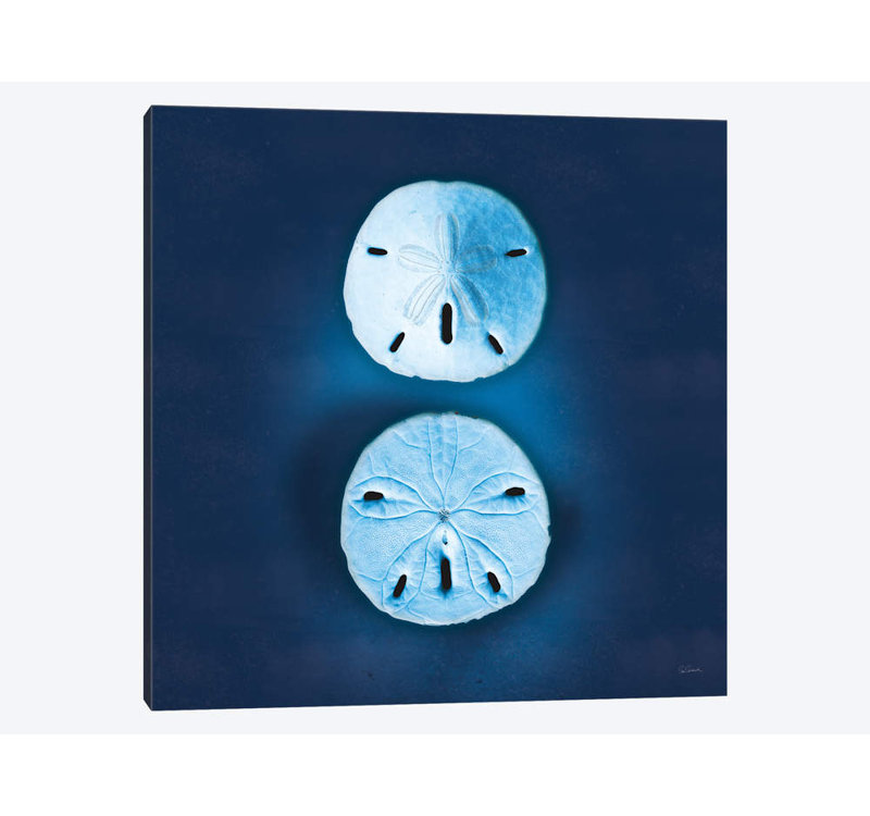 « cyanotype sea iv », reproduction d’impression sur toile, H 18 po x l 18 po x P 1,5 po