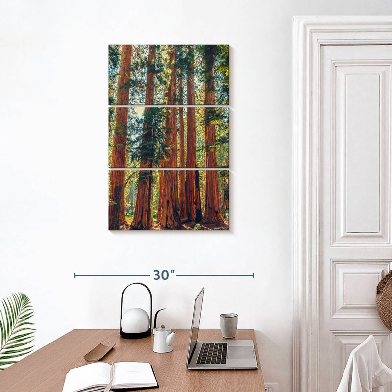 Séquoias Harnek dans le parc Sequoia, H 32 po x l 20 po