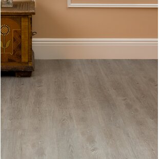 Wayfair  Gray Vinyl Flooring You'll Love in 2023