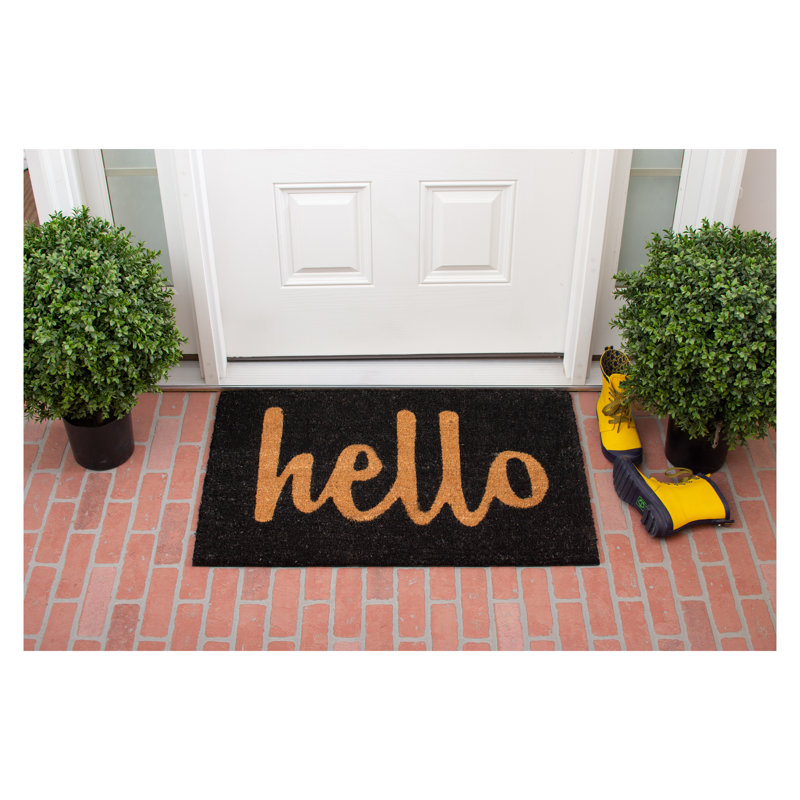 Carlaysia Non-Slip Outdoor Doormat, Rectangle 1'5" x 2'5", Black