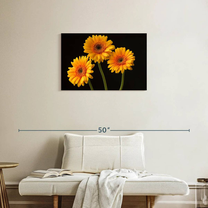 Trois marguerites Harnek sur fond sombre, H 20 po x l 30 po