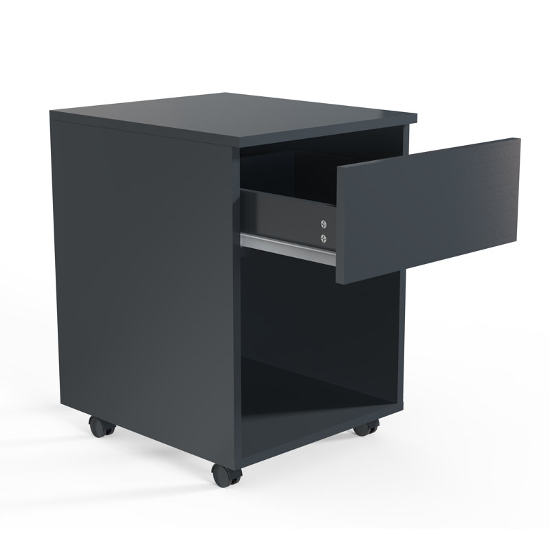 Remedios 39cm Wide File Cabinet, Black, 45cm H x 39cm W x 55cm D