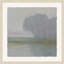 Shrouded Cypress 1 Print