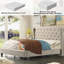 Upholstered Wingback Platform Bed, Bed Frame with Nailhead Trimmed Wingback and Button-Tufted-114284990-114284985
