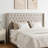 Tufted Wingback Upholstered Headboard with Nailhead Trim-847401453-847401449