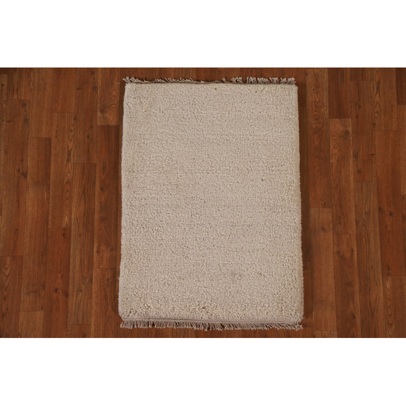 Hand Knotted Wool Rug