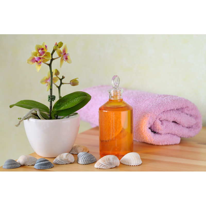 Decorative Wellness Set by Velniux - Wrapped Canvas Print, 30cm H x 46cm W x 3.8cm D