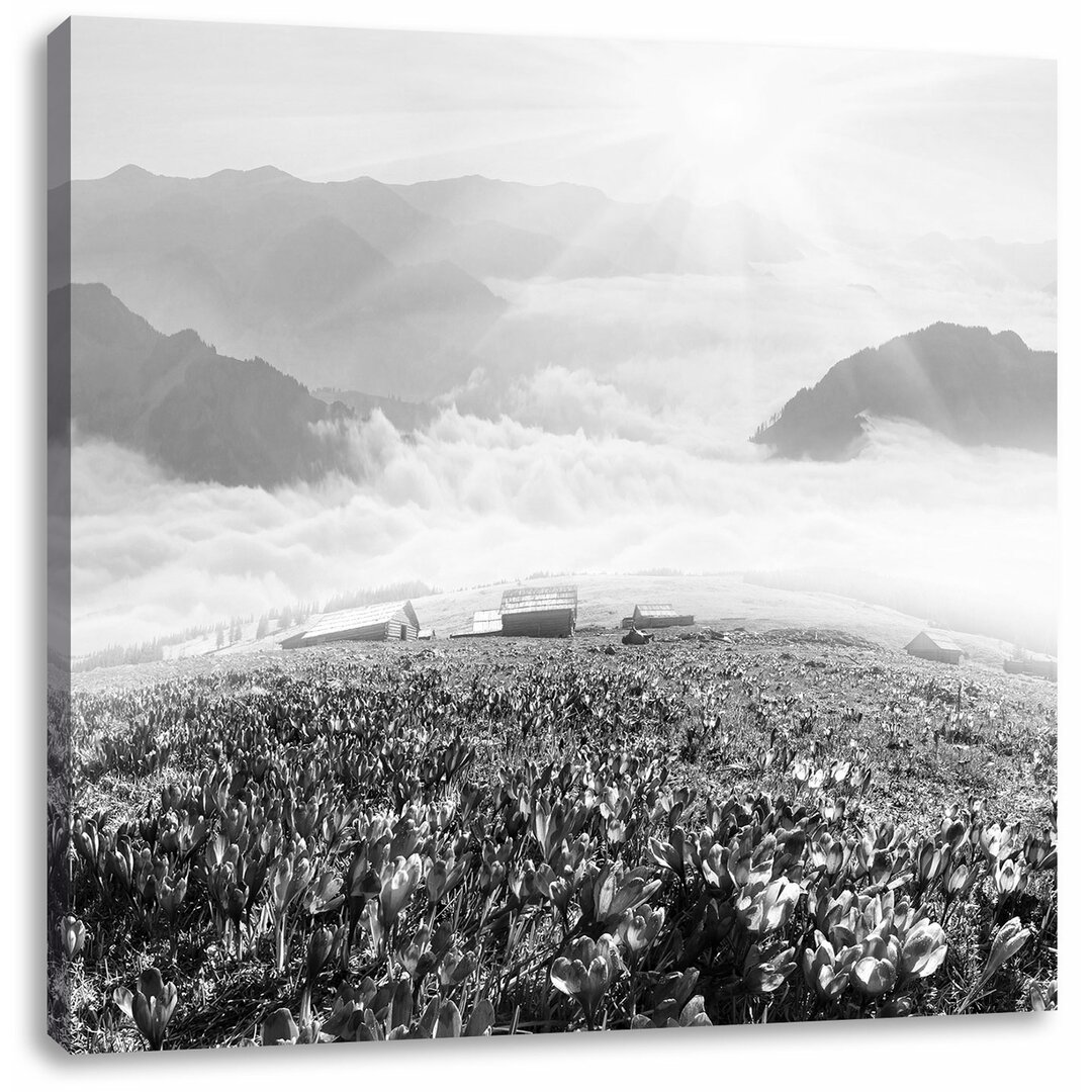 Leinwandbild Quadratisch Blühende lilane Krokusse mit Aussicht auf die Berge Kunst B&W