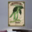 « seed packet greenbeans », reproduction d’art sur toile tendue-16158467