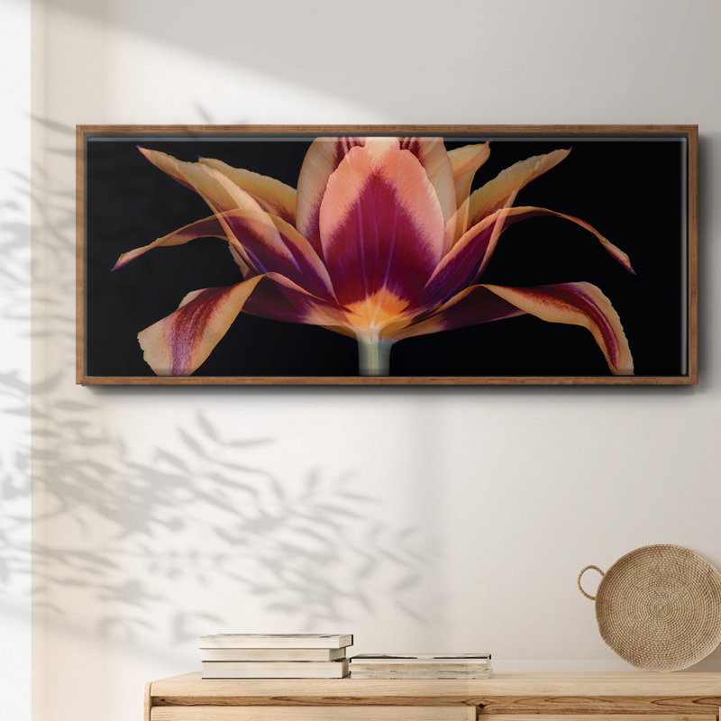 Red Tulip- Framed Canvas, 12" H x 30" W