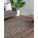 Hanan Oriental Indoor Rug