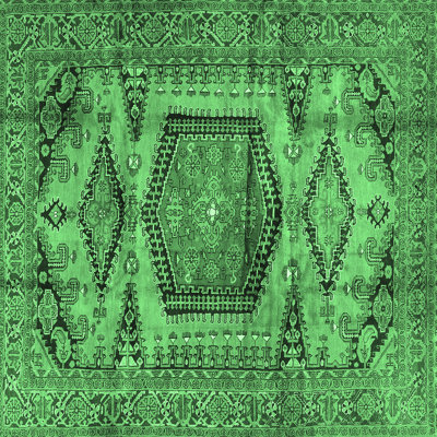 Oriental Indoor Rug
